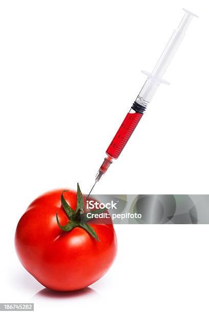 Gmo 토마토색 0명에 대한 스톡 사진 및 기타 이미지 - 0명, DNA, 건강 진단