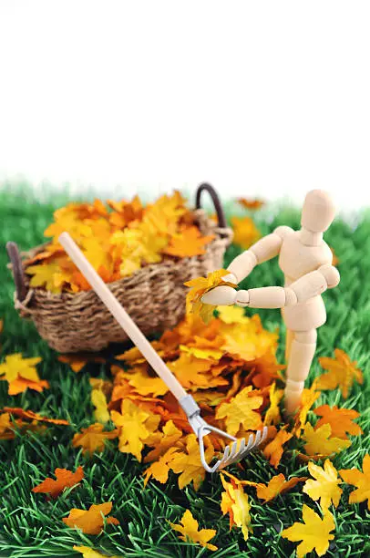 Wooden mannequin is gardening with a gardening fork, gathering the leaf into a basket. autum background. soft focos on hand with leaf.