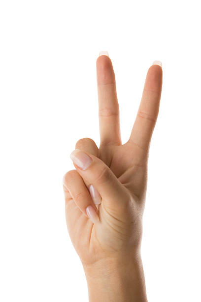 istock White hand holding up a peace sign. 186745362