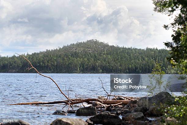 北湖 - スカンジナビアのストックフォトや画像を多数ご用意 - スカンジナビア, バケーション, フィンランド領ラップランド