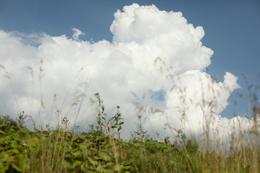 Cloud above horizon. White cloud. Summer weather. Grass against background of heaven.