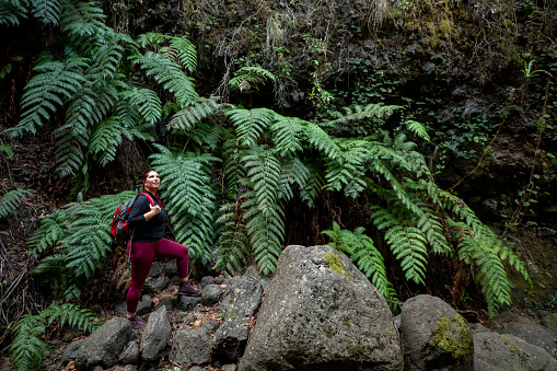 Woman hiker standing on a boulder next to giant ferns inside a canyon in the Canary Islands