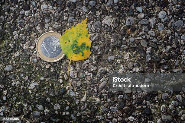 Eurogeldmünze Stockfoto und mehr Bilder von Desorientiert - Desorientiert, Geldmünze, Blatt - Pflanzenbestandteile