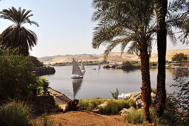 River Nile The River nile at Aswan  felucca boat stock pictures, royalty-free photos & images