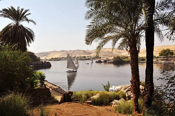 The River nile at Aswan 