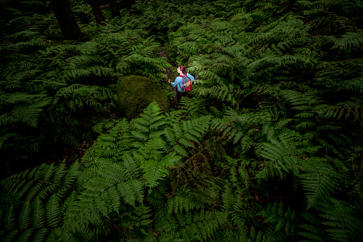 Female tourist backpacking in the middle of a fern forest in the canary islands