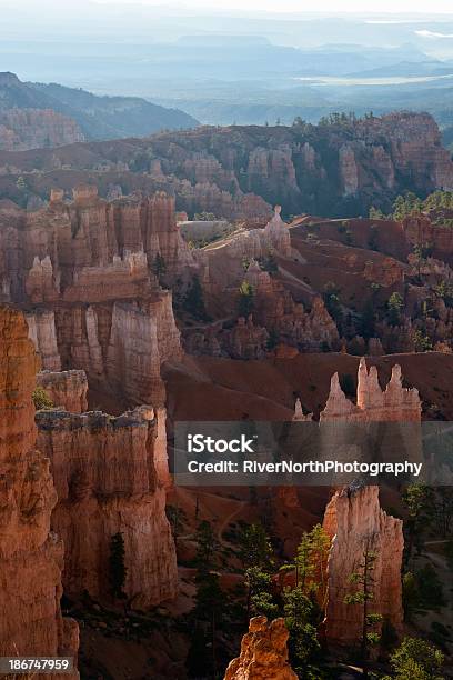 Wcześnie Rano Bryce Canyon W Stanie Utah - zdjęcia stockowe i więcej obrazów Bajeczne kominy i iglice skalne - Bajeczne kominy i iglice skalne, Bez ludzi, Brzask