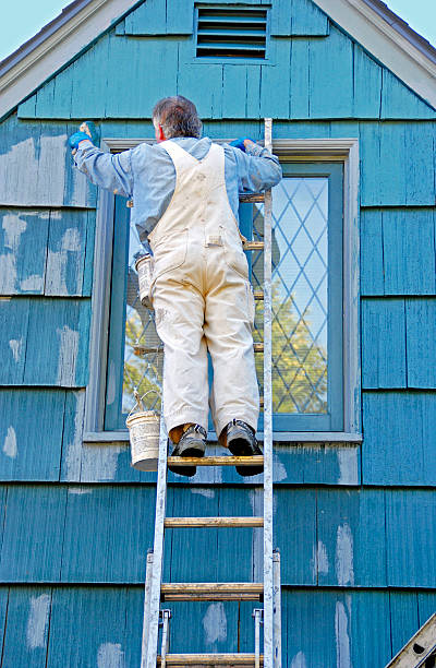 istock Man on ladder painting house with a brush 186748308