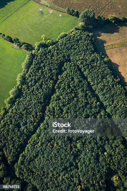 Woodland Grove En Forma De Fotografía Aérea Del Bosque Flecha Foto de stock y más banco de imágenes de Señal de flecha