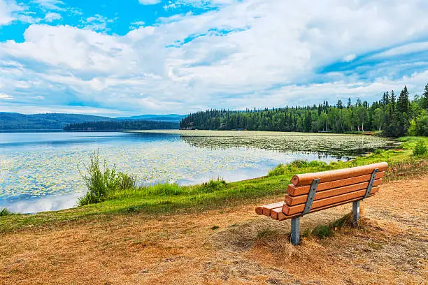 Beautiful view at Birch Lake in Salcha location close of Fairbanks, Alaska, USA.