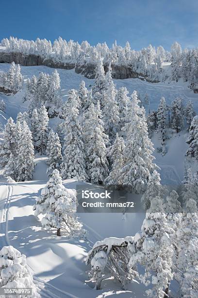 Photo libre de droit de Paysage De Montagne Dans Un Jour De Soleil banque d'images et plus d'images libres de droit de Alpes européennes - Alpes européennes, Alpes françaises, Arbre à feuilles persistantes