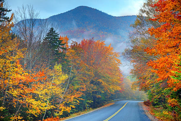 istock Autumn Road in New Hampshire 186749102