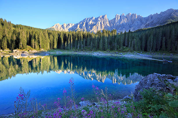 lake carezza i latemar mountain range - latemar mountain range zdjęcia i obrazy z banku zdjęć