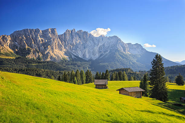 meadow en face du massif du latemar, dolomites, italie - latemar mountain range photos et images de collection