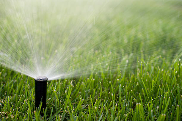 istock Close up of sprinkler spraying grass 186749259