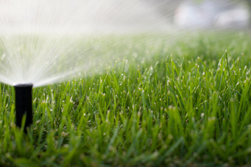 A sprinkler head sprinkles, and the green grass grows all around, all around.