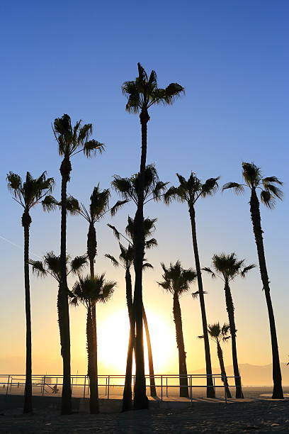 istock Santa Monica; Pier Sunset 186749570