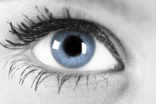istock Beautiful female blue eye 186750149