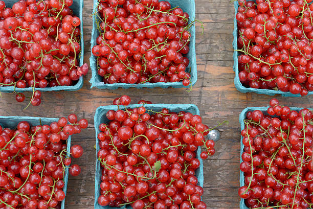 Beautiful brightly colored redcurrants in baskets at farmer's market.
