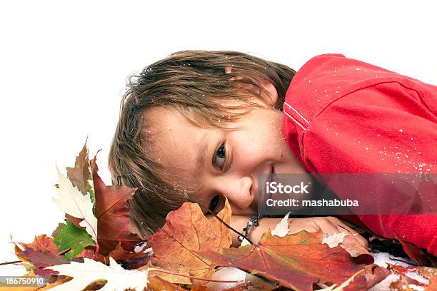 Sorridente Menino No Outono Folhas - Fotografias de stock e mais imagens de Rapazes - Rapazes, Aluno, Amarelo
