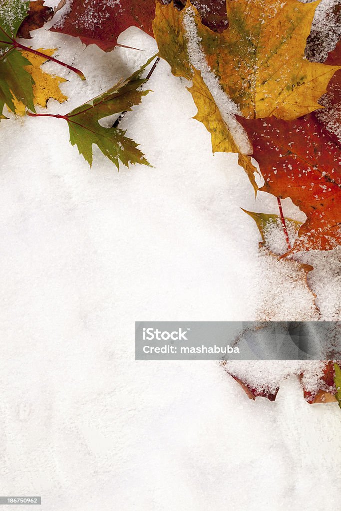 Autunno foglie nella neve. - Foto stock royalty-free di Albero