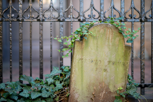 Early american tombstone with ivy growing over it next to a rod iron fence. Taken in Boston, MA.