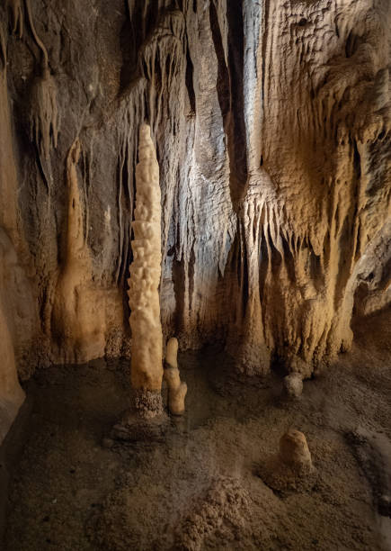 istock The cave Postojna Cave in Slovenia 1867515577