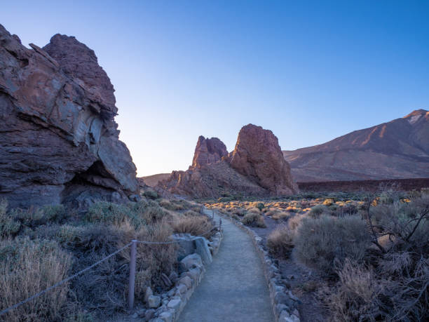 istock Landscape of Teide National Park 1867515736