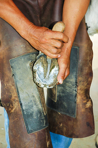 istock Cleaning a horse hoof 186753120