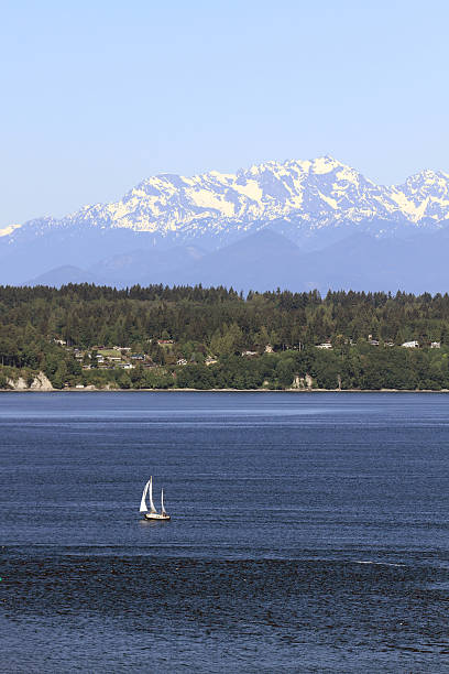 istock Sailing on Puget Sound with Olympic Peninsula View 186753330