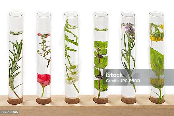Science Medecine Solution Of Medicinal Plants And Flowers Stock Photo - Download Image Now