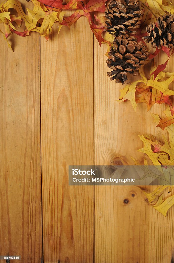 Holiday background A background or border of Autumn leaves or pine cones Autumn Stock Photo