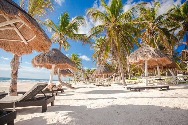 istock Chaise lounges under an umbrella on sandy beach 186753982