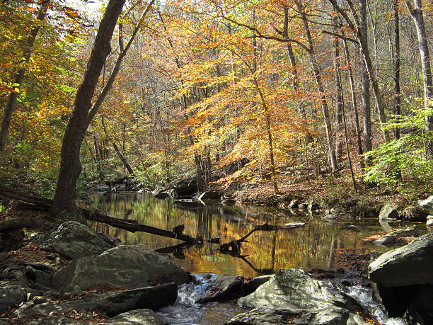 istock Autumn at Friend's Creek 186753994
