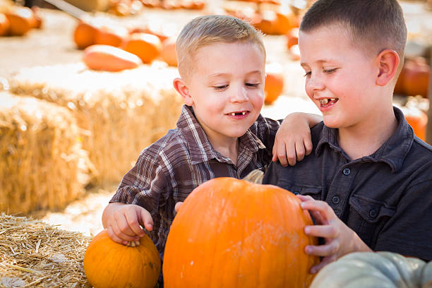 istock Two Boys at the Pumpkin Patch Talking and Having Fun 186754316