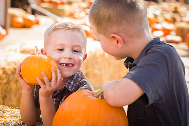istock Two Boys at the Pumpkin Patch Talking and Having Fun 186754361