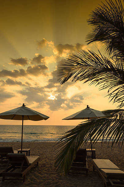istock Silhouettes of beach umbrellas sunset and sky 186755280