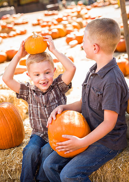 istock Two Boys at the Pumpkin Patch Talking and Having Fun 186755534