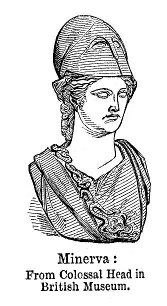 минерва - engraving minerva engraved image roman mythology stock illustrations