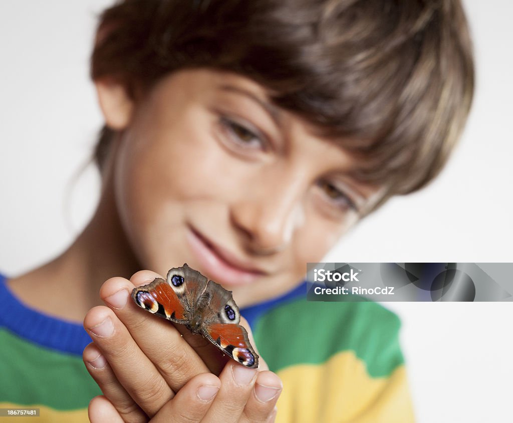 소년만 루킹 나비 보유중인 - 로열티 프리 6-7 살 스톡 사진