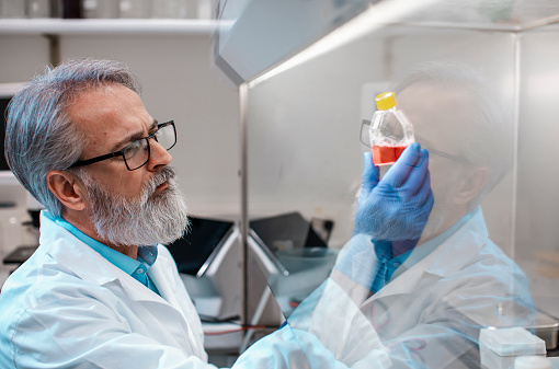 Scientist Working in The Fume Hood