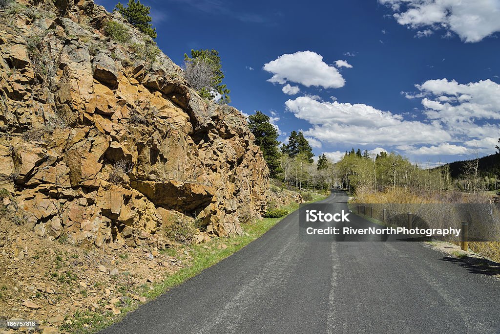 Caminho no Parque Nacional das Montanhas Rochosas - Royalty-free Abeto Foto de stock