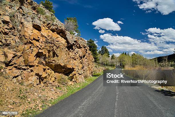 Caminho No Parque Nacional Das Montanhas Rochosas - Fotografias de stock e mais imagens de Abeto - Abeto, Alfalto, Ao Ar Livre