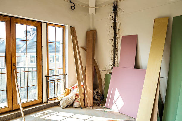 istock scene of renovation 186758214