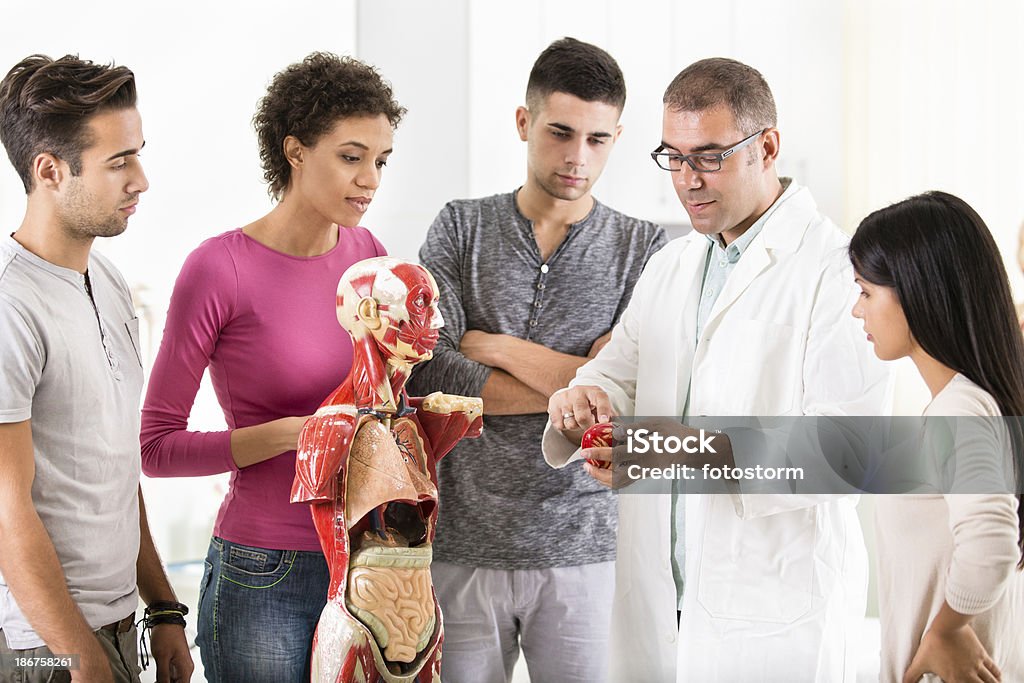 Grupo de estudiantes sobre anatomía clase - Foto de stock de Vietnamita libre de derechos