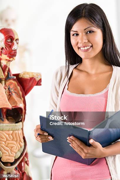 Alumno En Clase De Anatomía Foto de stock y más banco de imágenes de Abdomen - Abdomen, Abdomen humano, Adulto