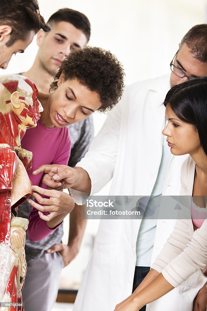 Gruppo di studenti in classe di anatomia - Foto stock royalty-free di Addome