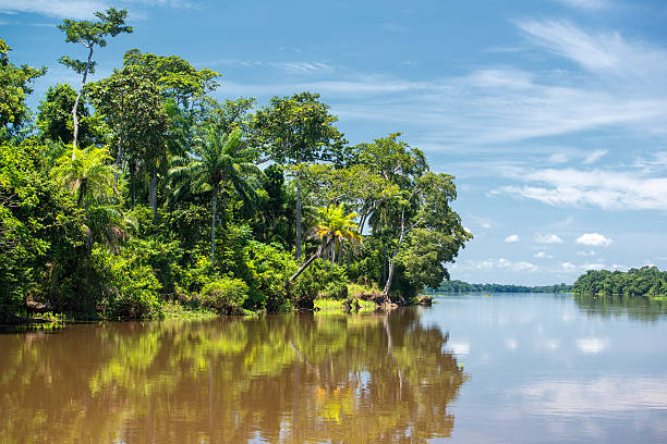 istock A tropical shoreline reflected in waters of the Congo River 186758928
