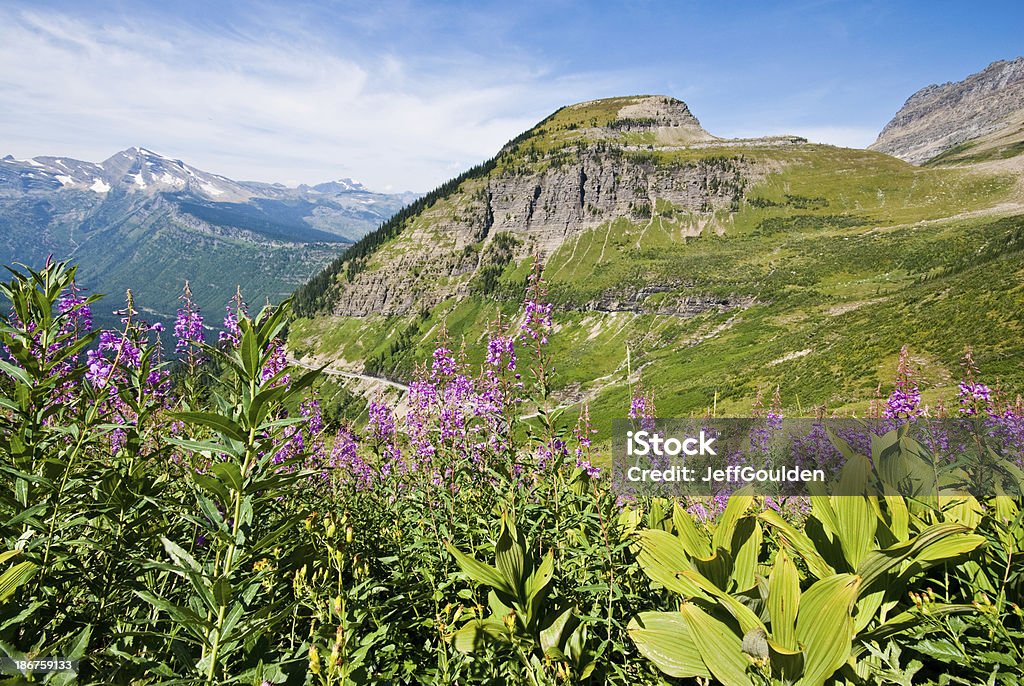 Prato di Fireweed di fieno Butte - Foto stock royalty-free di Butte