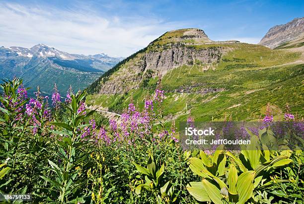 Prato Di Fireweed Di Fieno Butte - Fotografie stock e altre immagini di Butte - Butte, Ambientazione esterna, America del Nord